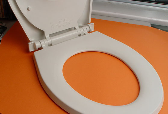 Integrated Toddler Toilet Seat